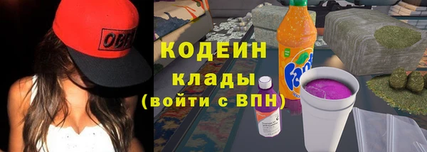 прущие грибы Балабаново
