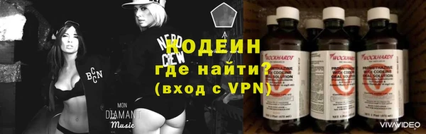 прущие грибы Балабаново