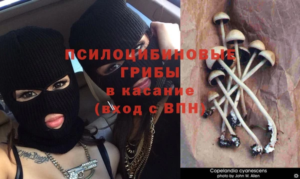 бошки Баксан