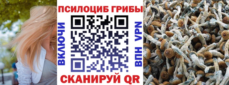 mega   Верхнеуральск  Псилоцибиновые грибы GOLDEN TEACHER 